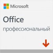 Microsoft Office Professional 2019/  2019