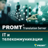PROMT Translation Server 12 IT  